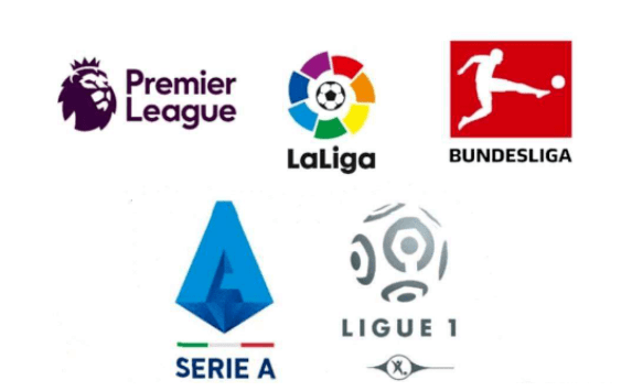 极大地增强 极大地增强