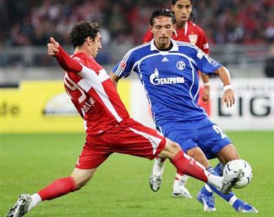 怀特多年来 怀特多年来